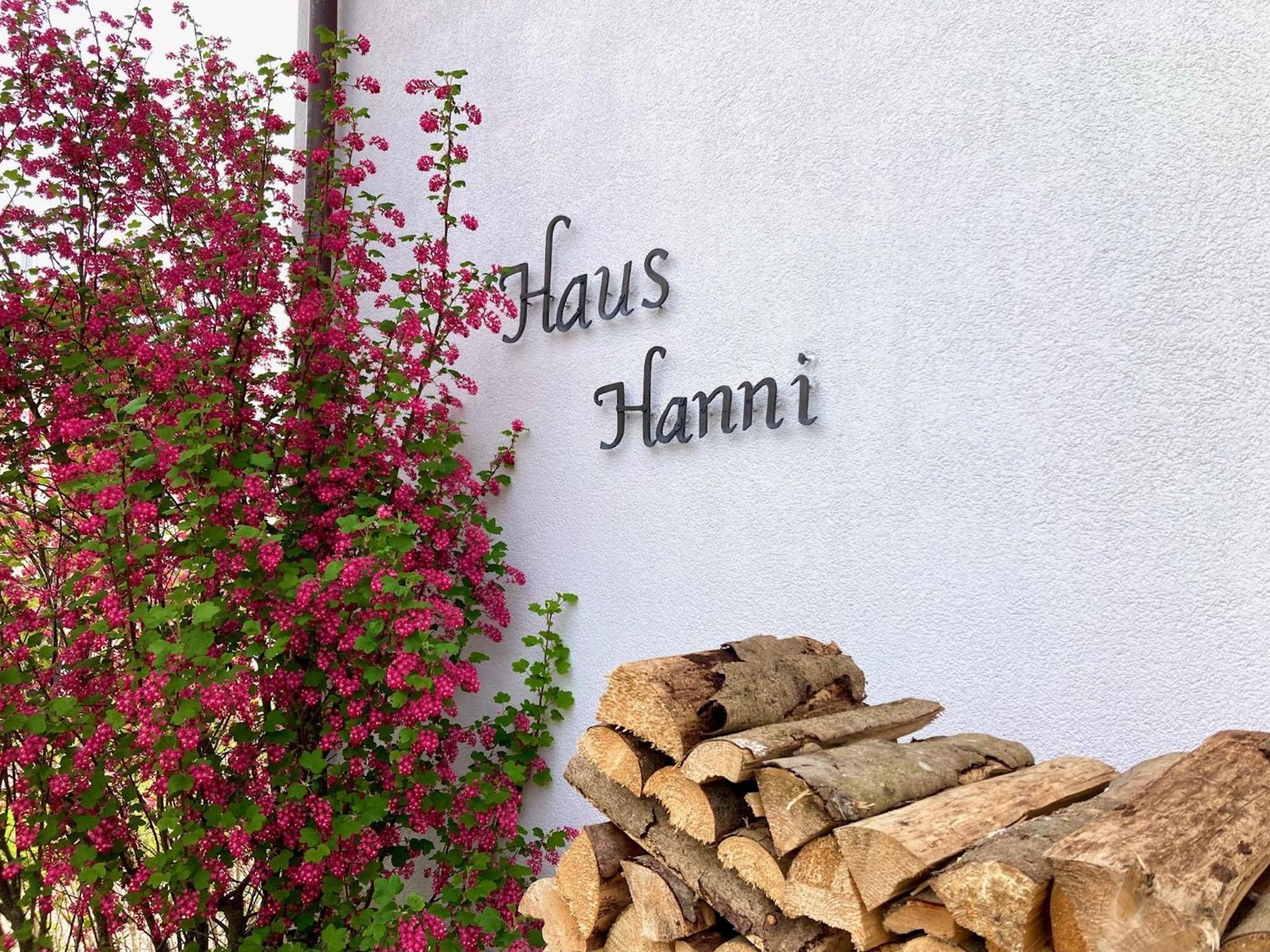 Haus Hanni 霍兴斯旺德 外观 照片